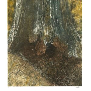 Cypress
